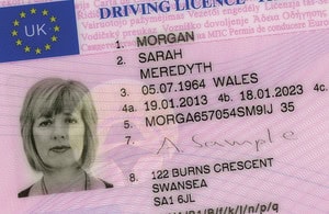 German driver's licence
